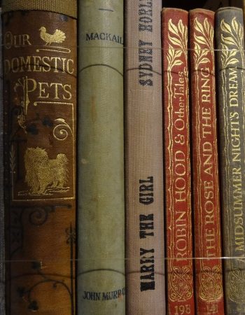 Synopsis Antykwariat