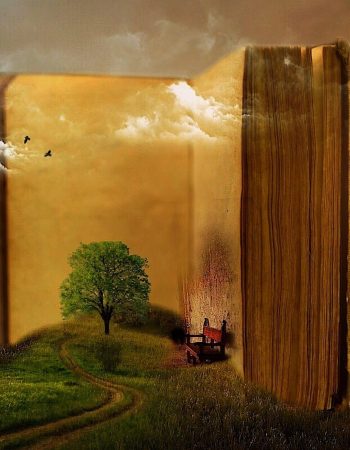 Synopsis Antykwariat